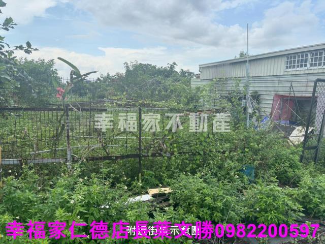 台南西港農地-14