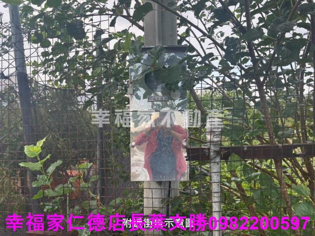 台南西港農地-2