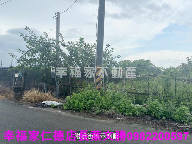 台南西港農地-9