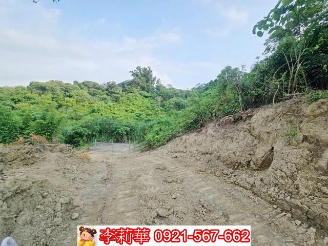 玉井農地-9