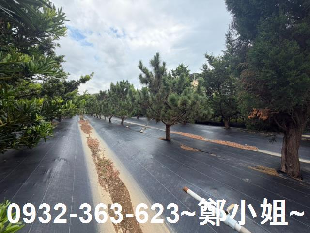 中壢農地-3
