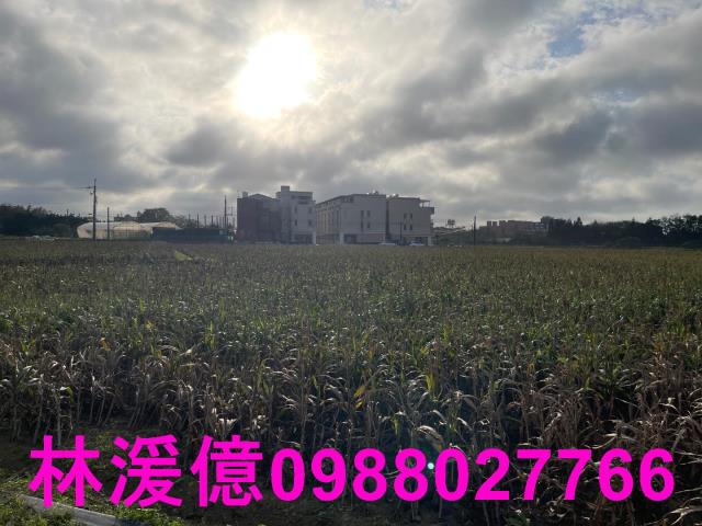 觀音農地-1