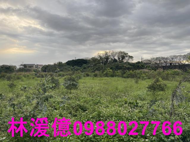 觀音農地-3