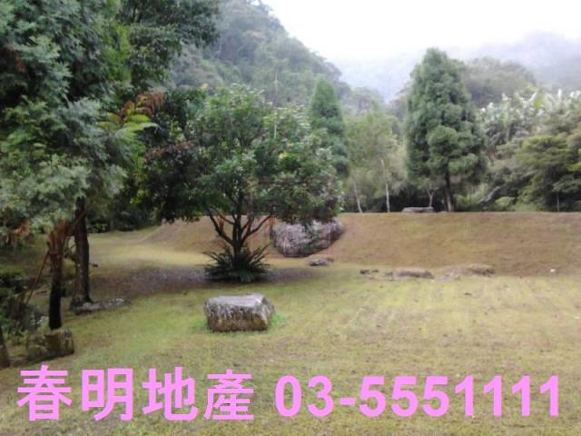 竹東農地-5