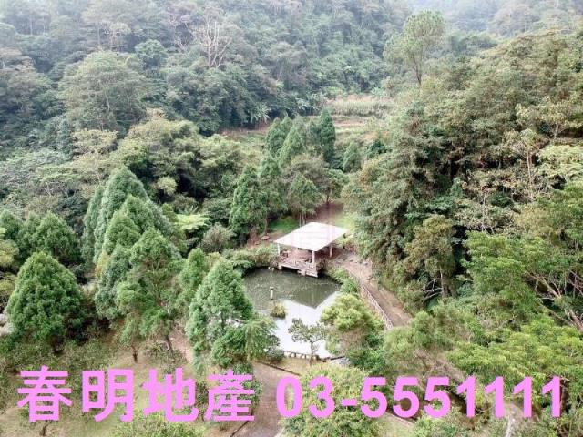 竹東農地-6