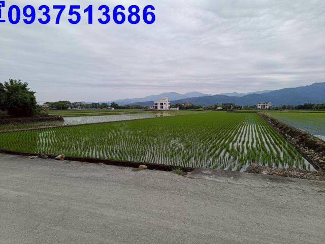 宜蘭農地-15