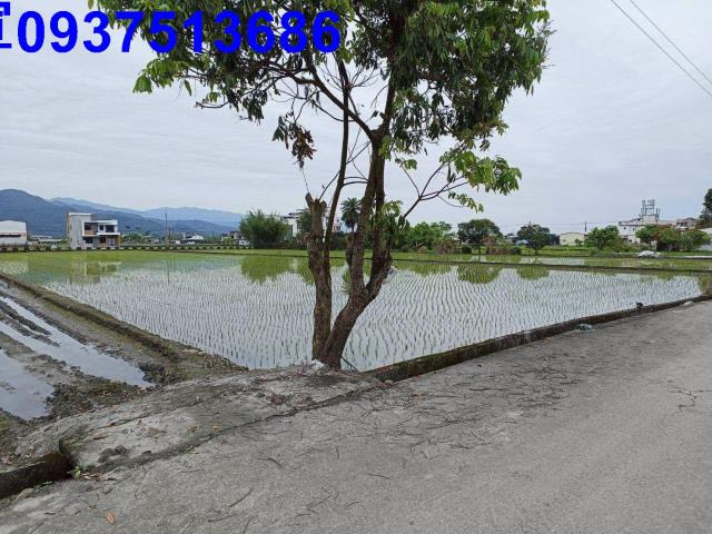 宜蘭農地-2