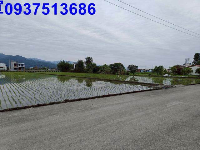 宜蘭農地-4