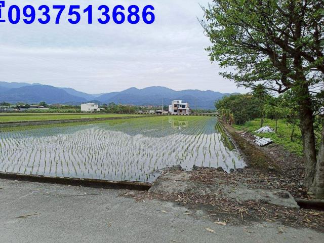 宜蘭農地-8