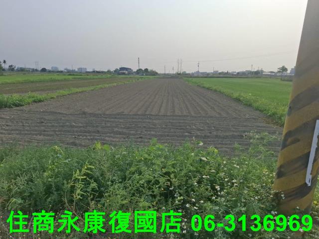 台南農地-9