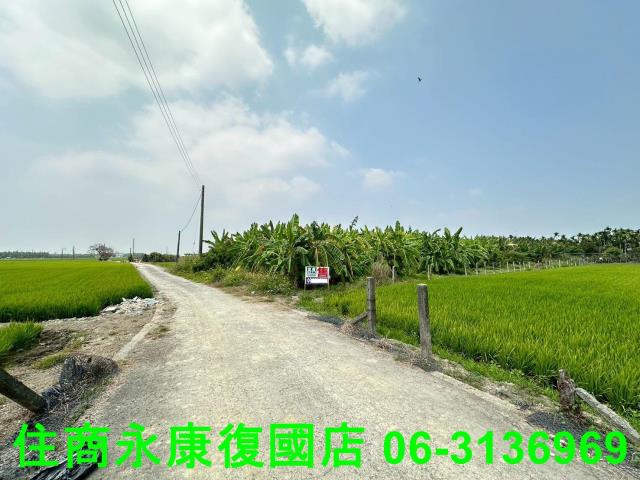 屏東農地-5