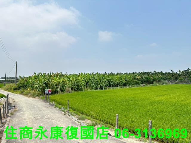 屏東農地-7