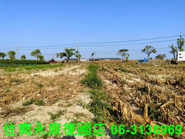 台南佳里農地-10
