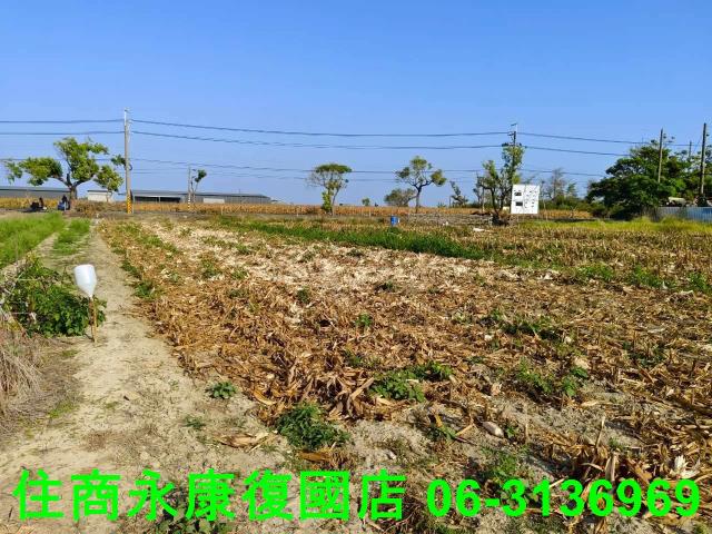 台南佳里農地-11