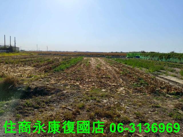 台南佳里農地-12