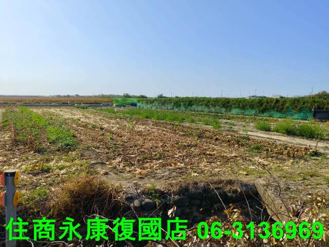 台南佳里農地-14