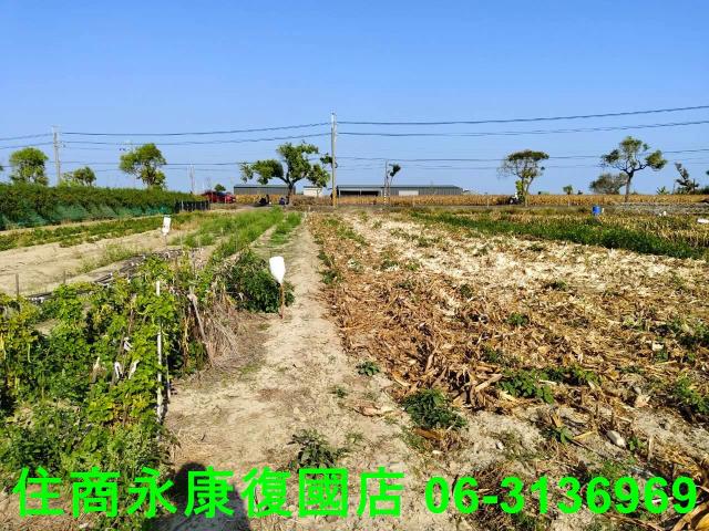 台南佳里農地-7