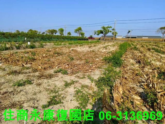台南佳里農地-8