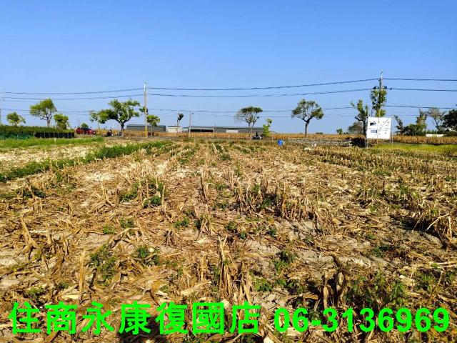 台南佳里農地-9