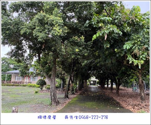 屏東高樹農地-15