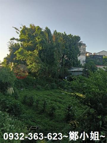 桃園平鎮農地-2