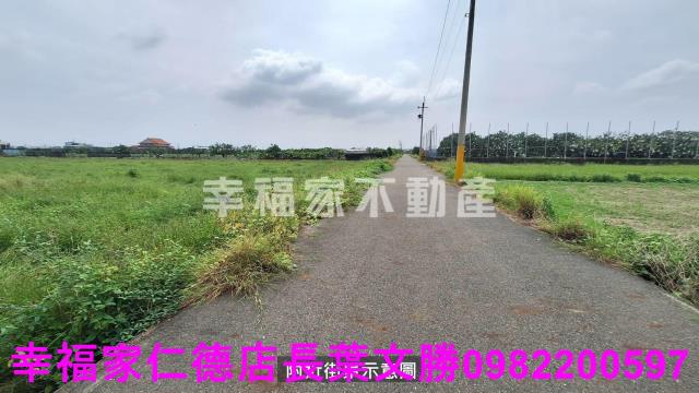麻豆農地-10