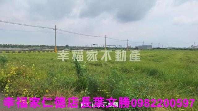 麻豆農地-12