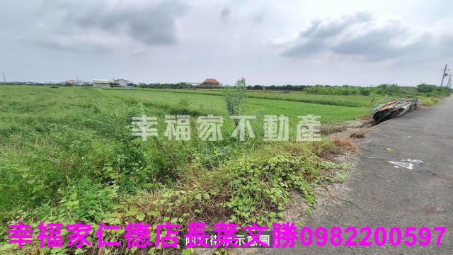 麻豆農地-14