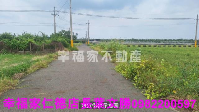 麻豆農地-15