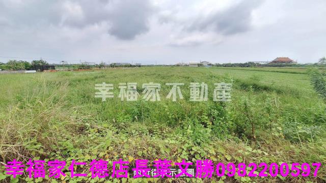 麻豆農地-1