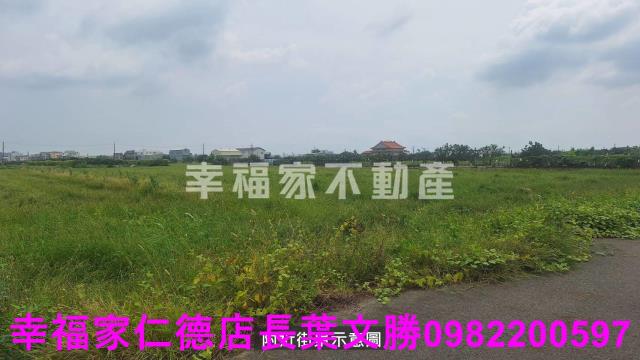 麻豆農地-4
