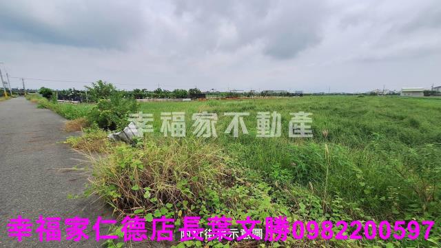 麻豆農地-6