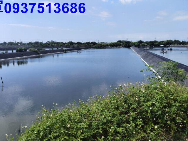 頭城農地-3