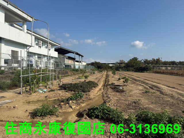 新市農地-4