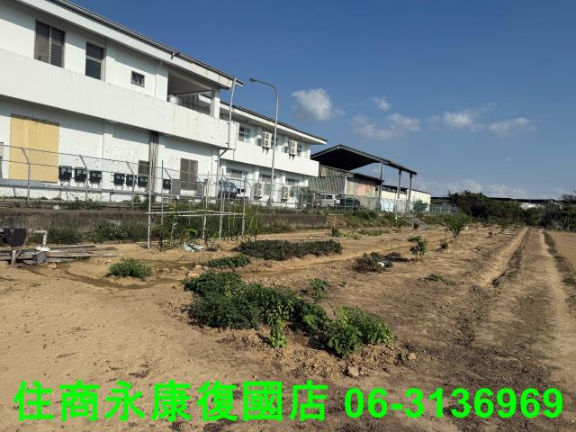 新市農地-5