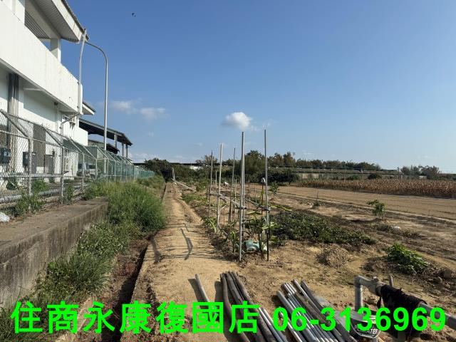 新市農地-6