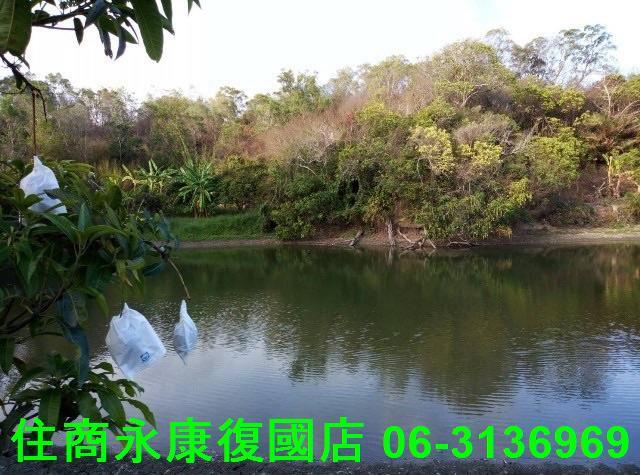 台南農地-10