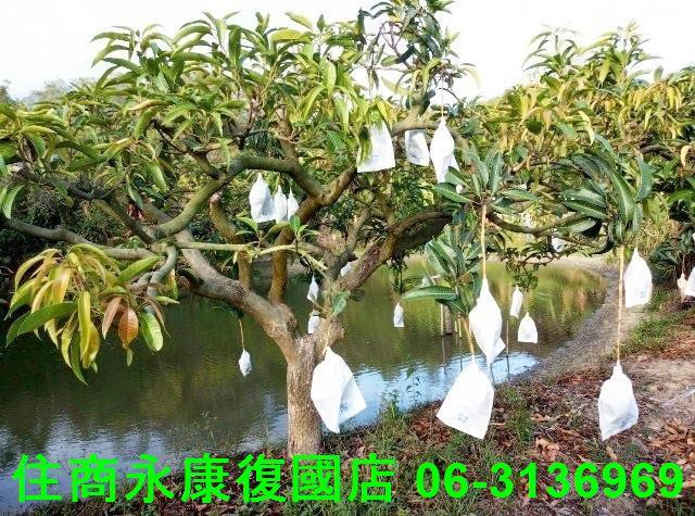 台南農地-11
