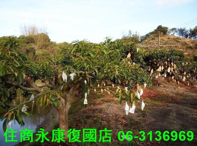 台南農地-12