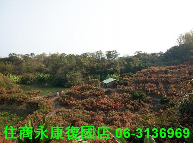 台南農地-2