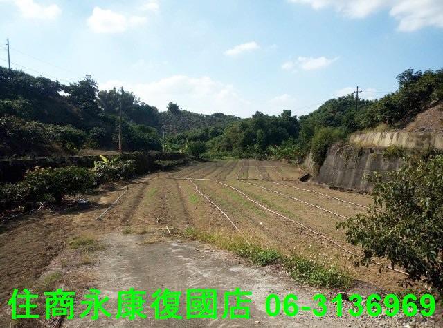 台南農地-4