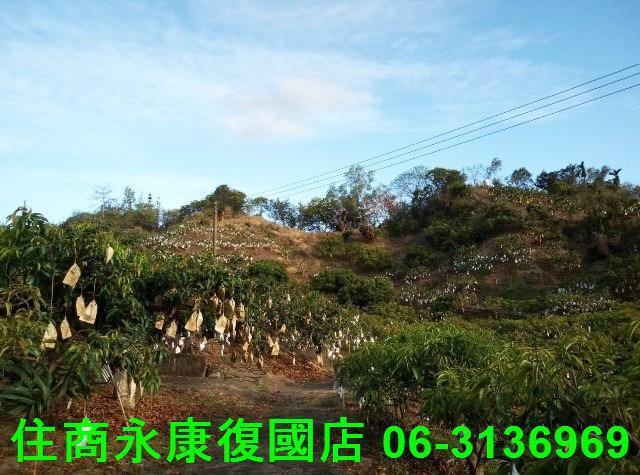 台南農地-9