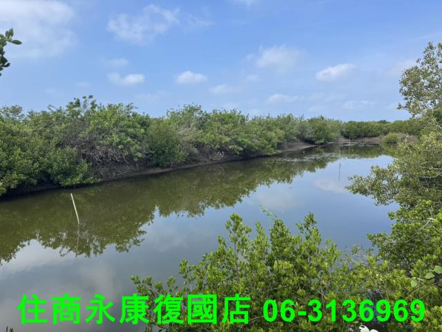 台南農地-4