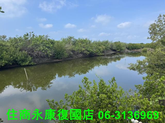 台南農地-5