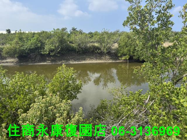 台南農地-6