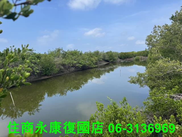 台南農地-7