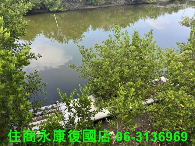 台南農地-8