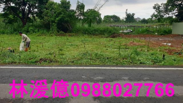 桃園農地-1