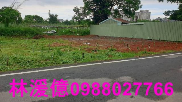桃園農地-3