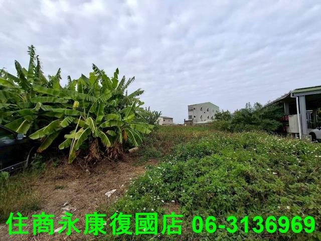 台南建地-1